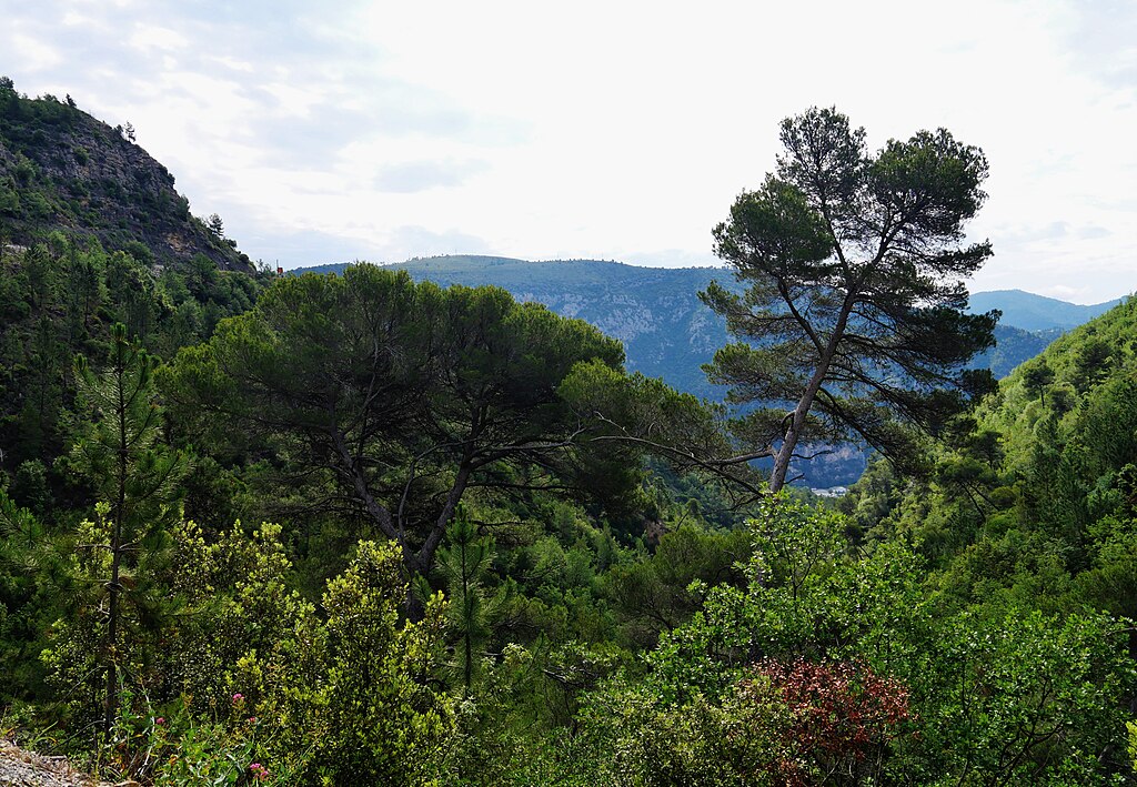Climatisation Alpes-Maritimes