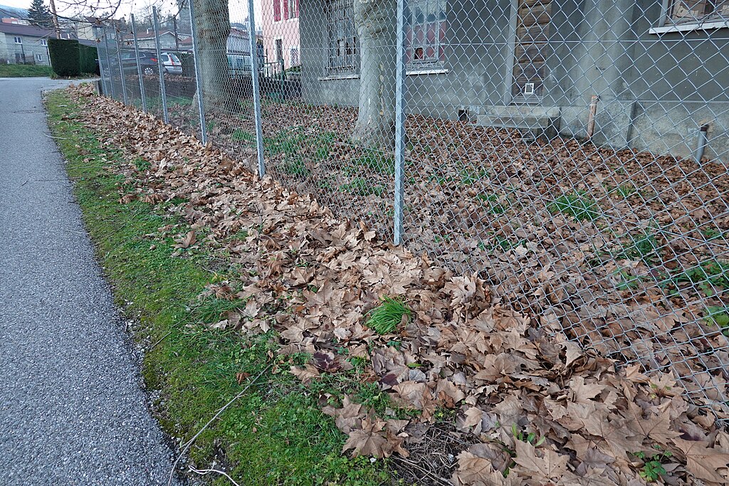 Climatisation Bellegarde-sur-Valserine