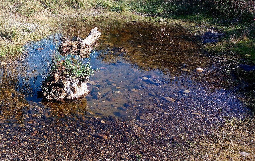 Climatisation Wittenheim