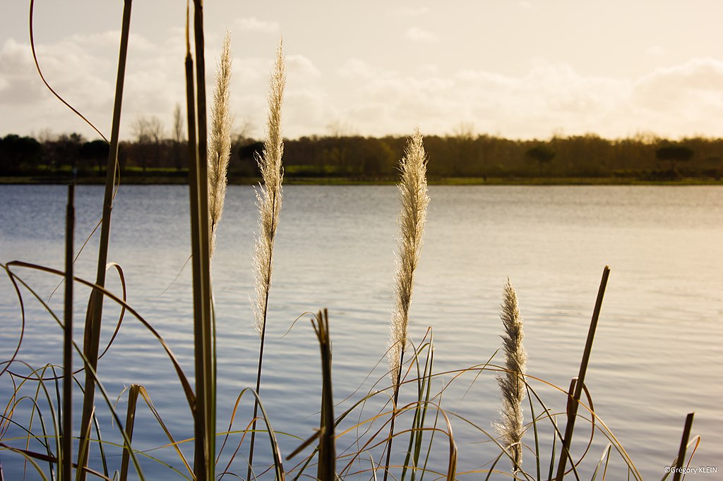 Climatisation Tournefeuille