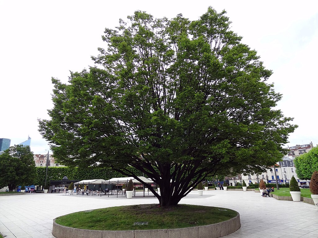 Climatisation Puteaux