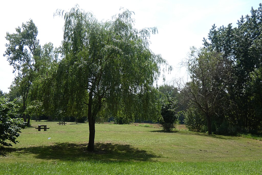 Climatisation Marmande